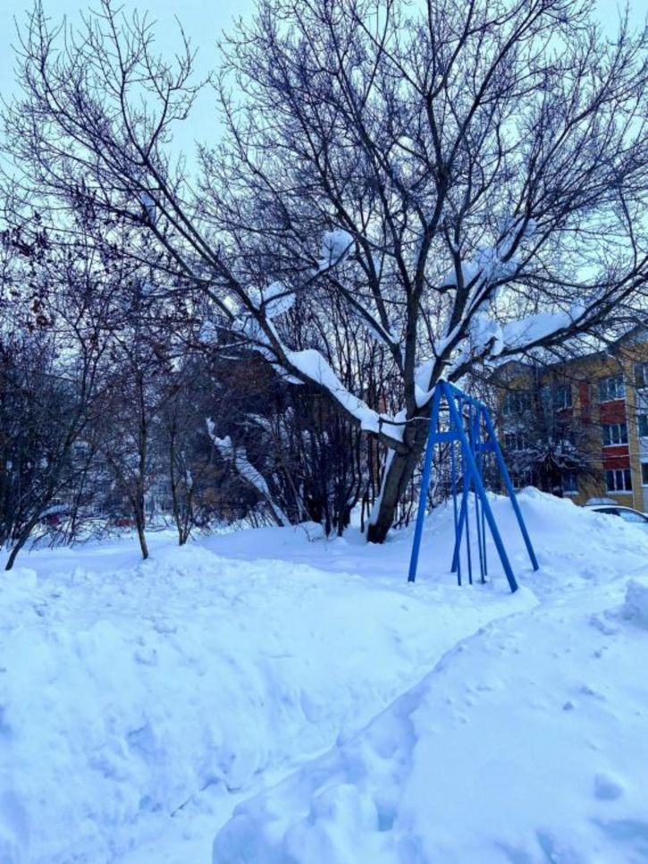 2-комн квартира Шевцовой, 7