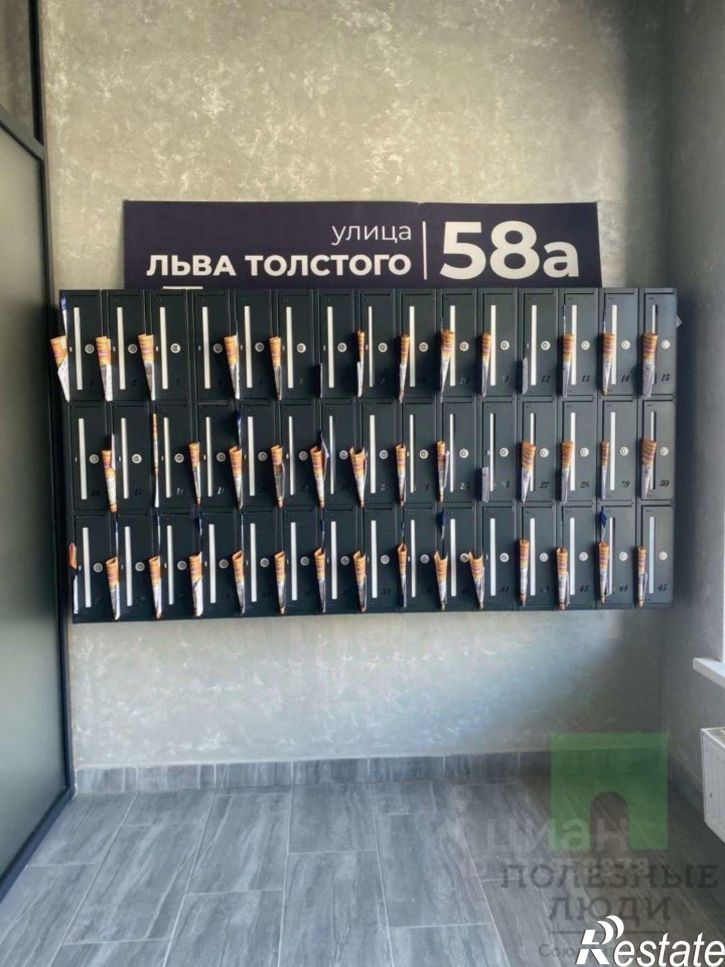 1-комн квартира ул Льва Толстого, 60А,  д. 60А