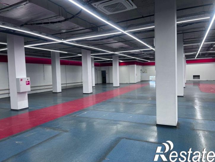 Торговое помещение Первомайская улица, 113,  д. 113